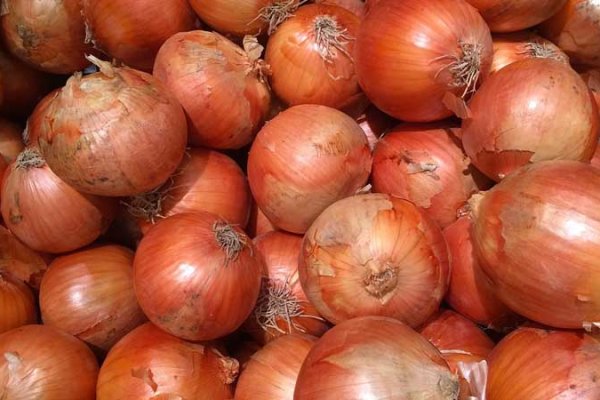Http krmp.cc onion market 4469